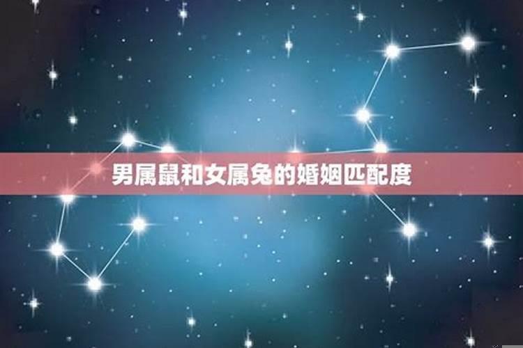 属鼠和属兔能结婚吗
