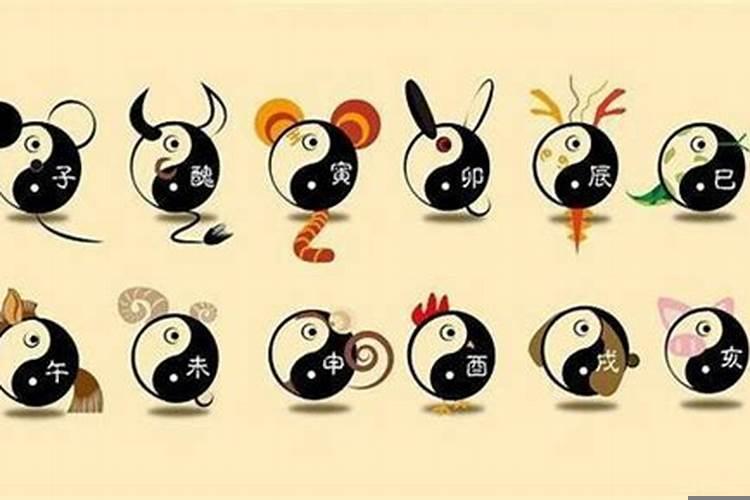 很会做生意的生肖是什么生肖
