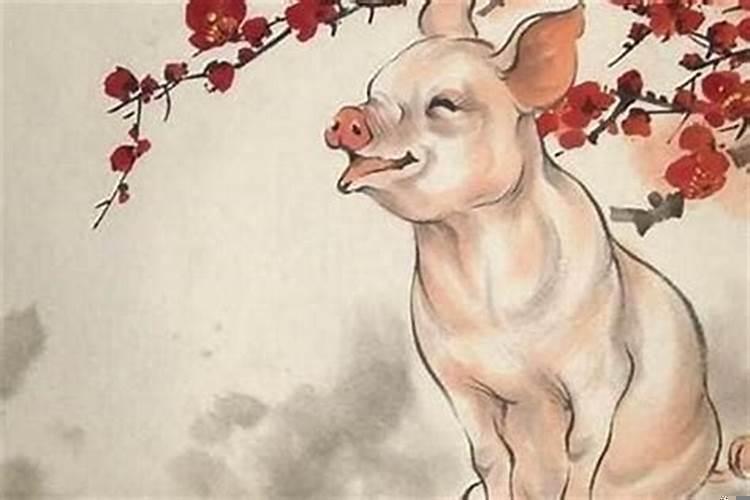 属猪女与什么属相最相配