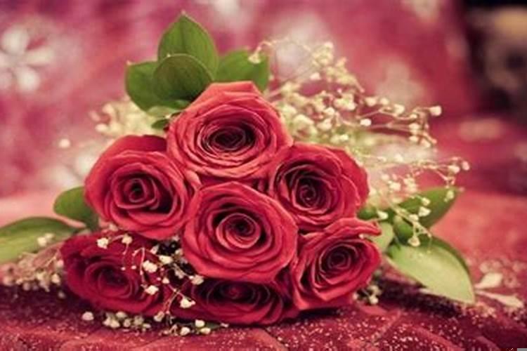 属狗能戴金狗吗