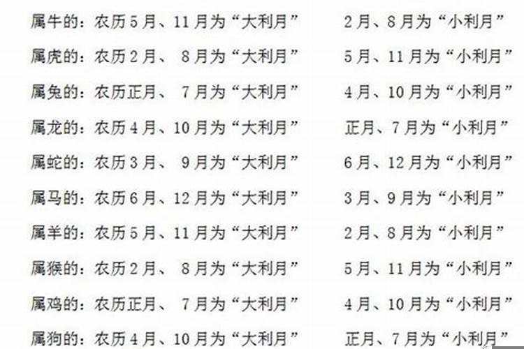 1996腊月29属什么