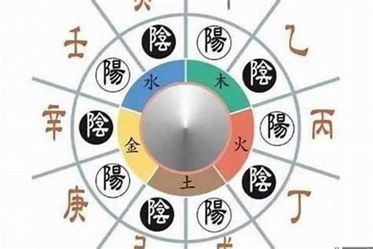 属虎的女人财运气好不