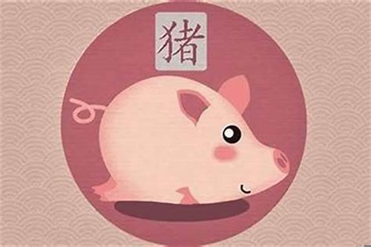 属猪今年佩戴什么旺财