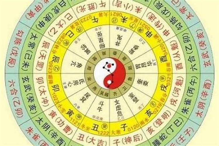 1996年正月初六五行属什么