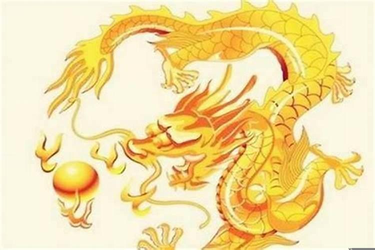 和龙相配的属相是什么