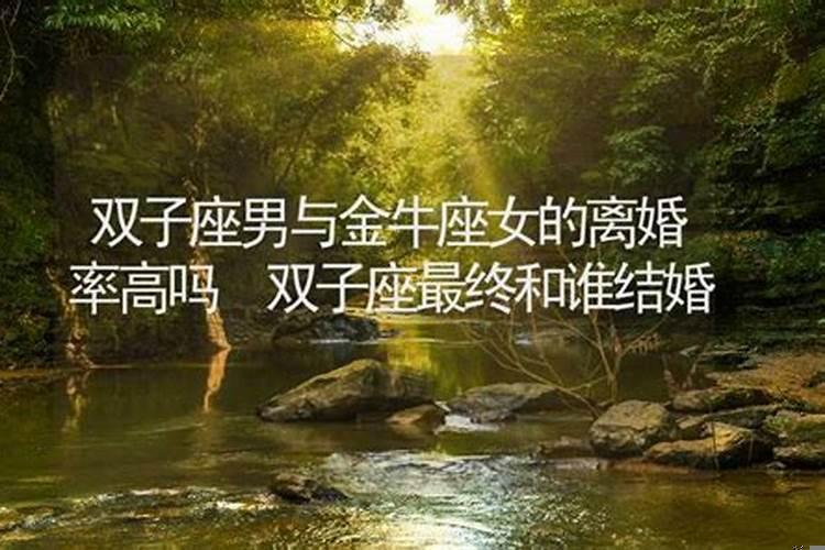 金牛座离婚的原因