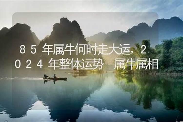 85年属牛女一生劫数