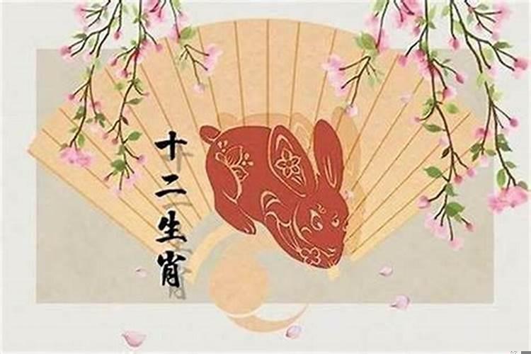 2025年属兔虚岁多少