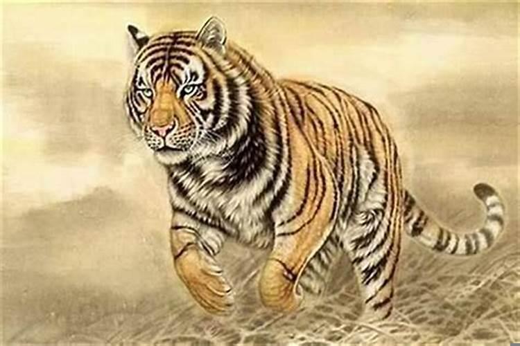 属虎的人佩戴什么生肖最好