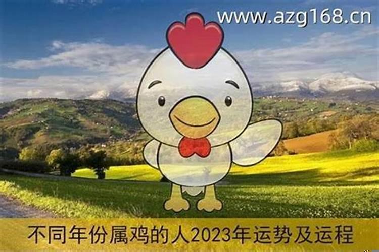 十一月份属鸡的财运