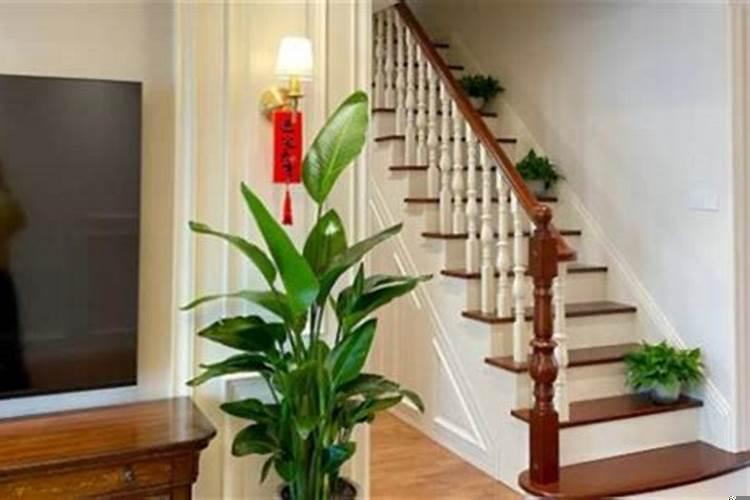 2025年属鸡入宅吉日