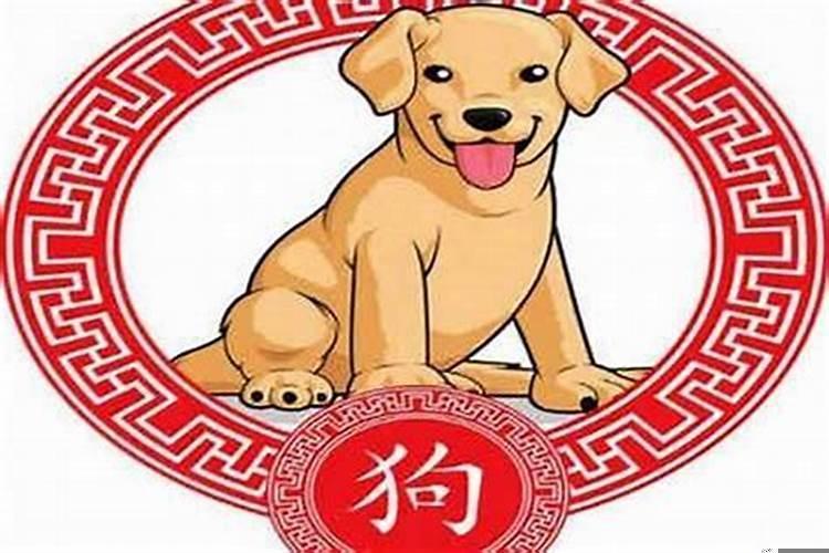 属狗九几年生的