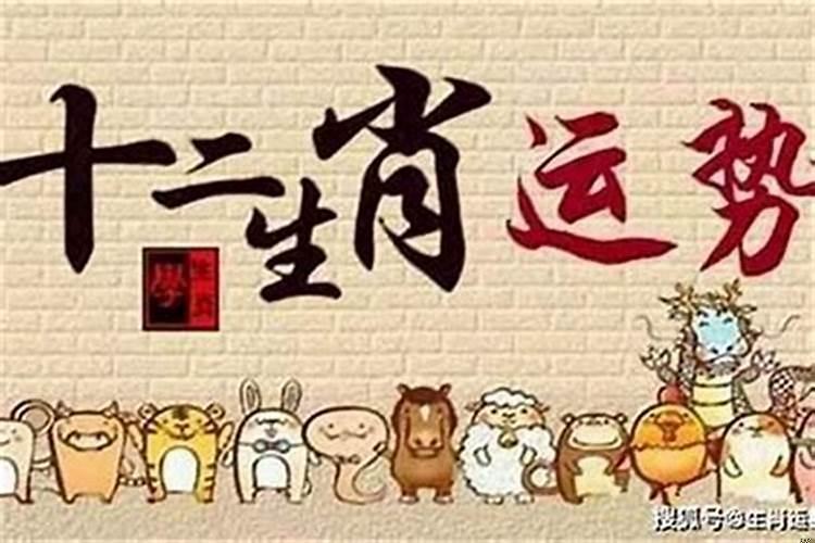 会做生意生肖