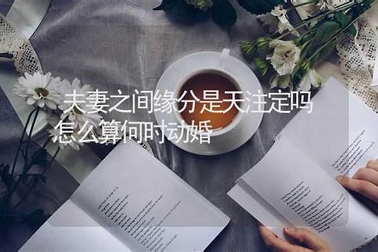 夫妻是上天注定的缘分