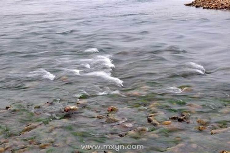 梦见河水很大什么意思?
