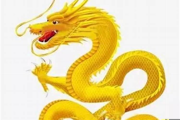 会做生意生肖