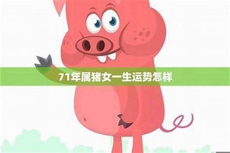属猪女和属啥婚配最合适