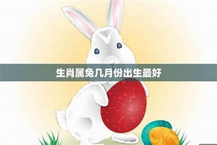 属兔人几时出生大富大贵