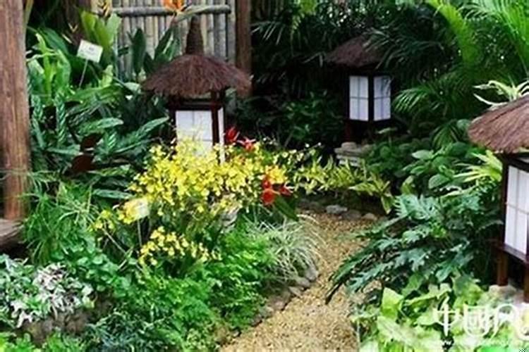 宅院里栽什么旺财