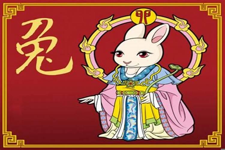 属兔人逢虎年2021