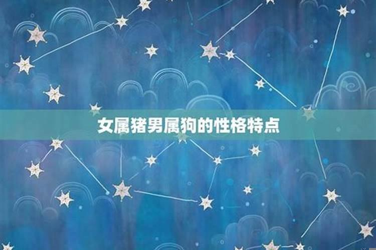 男属狗与女猪属相婚配可以吗
