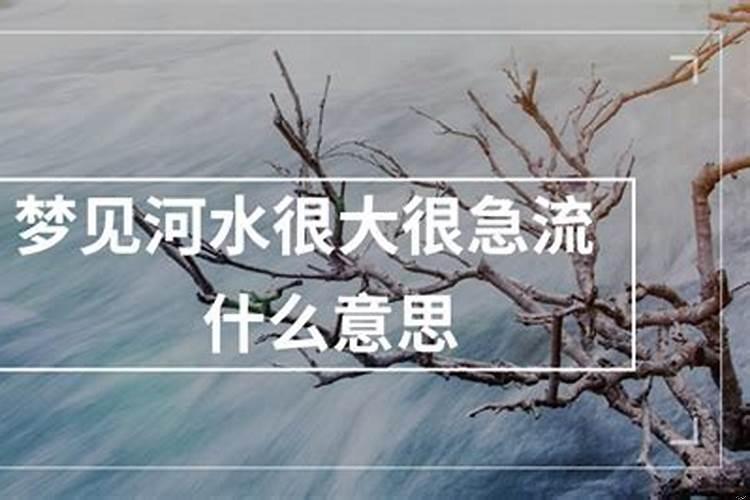 梦见河水很大什么意思?