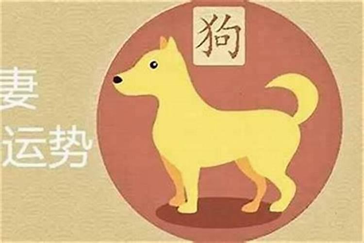 1994年腊月的狗命运如何
