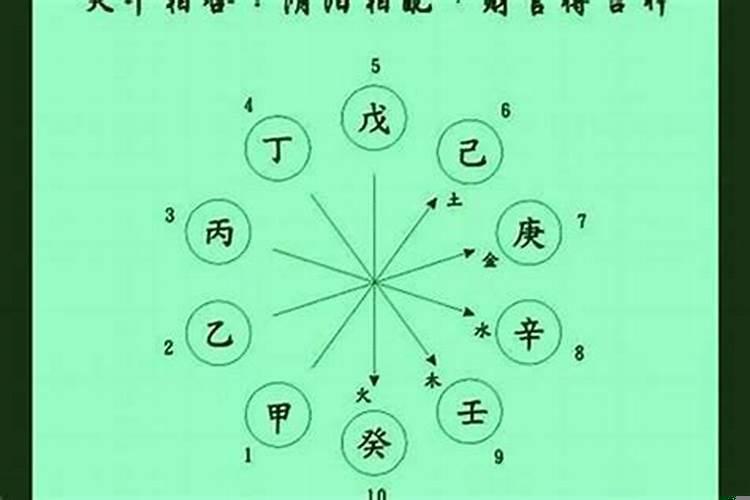 哪些天干地支相合