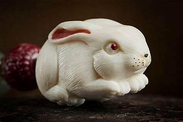 属兔的人佩戴什么旺财