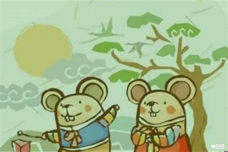2025年属鼠适合结婚月份