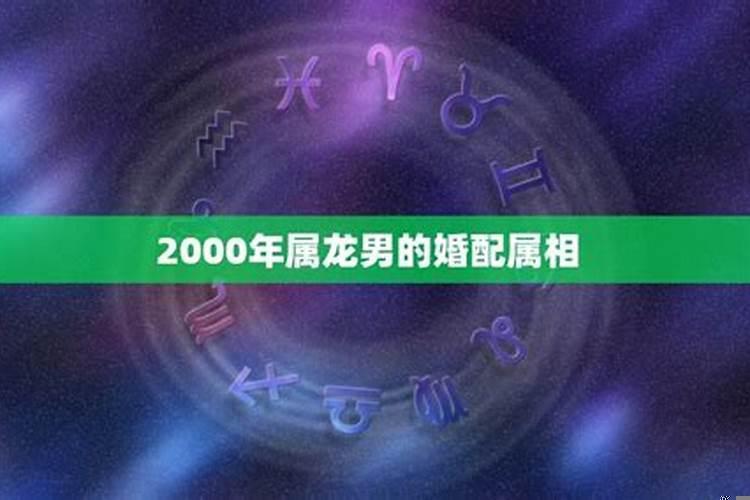 属龙男和什么属相最配对婚姻
