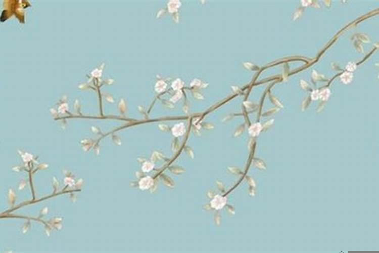 下山虎和上山虎有什么区别