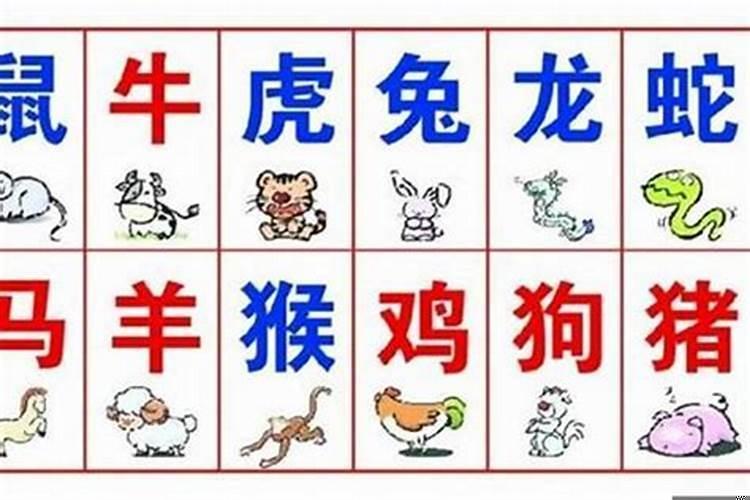 属蛇男人的命运