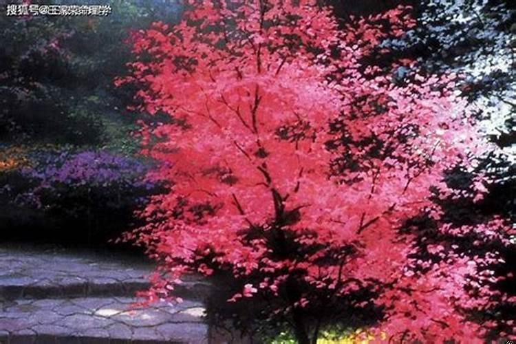 2028年1月30日