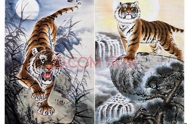 下山虎和上山虎有什么区别