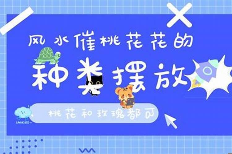 风水催桃花花的种类摆放
