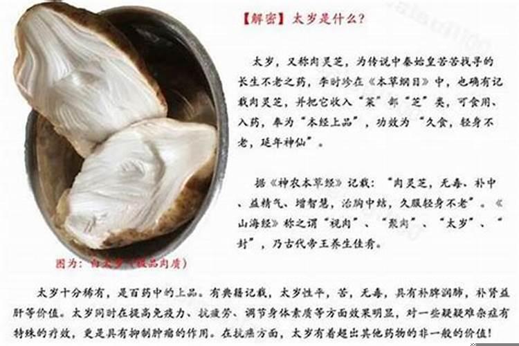 石太岁是什么病的