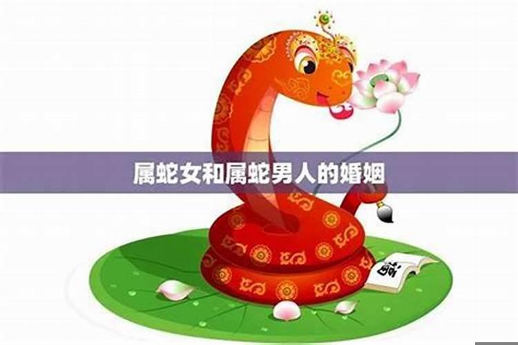 属马女和属蛇的婚姻如何