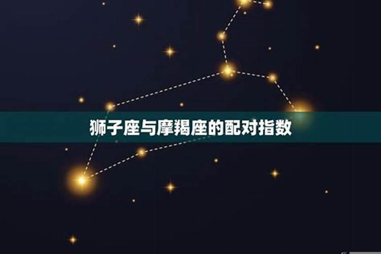 狮子座和摩羯座哪个好点