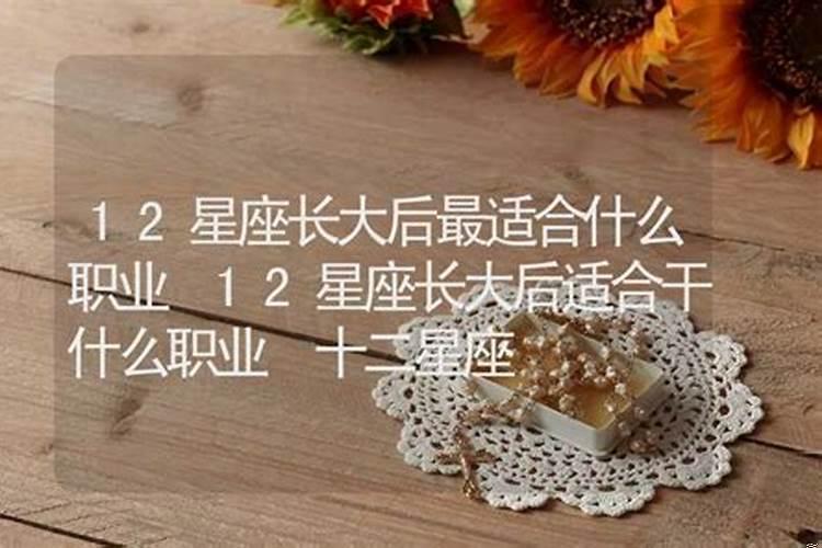 十二星座长大后最适合什么工作