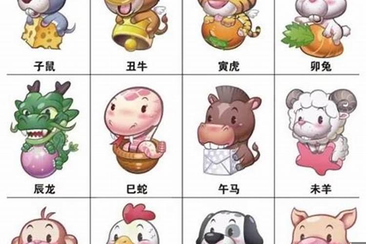 属相相冲能不能信