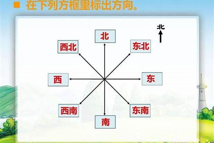 属虎女办公室座位朝向