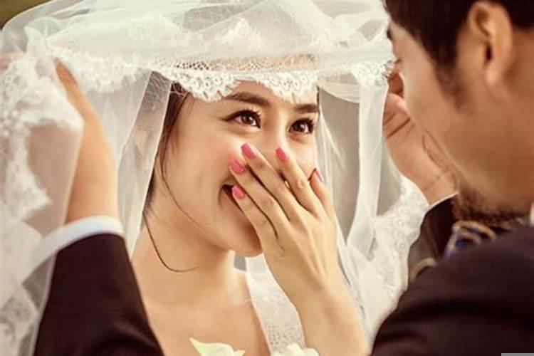 兔和狗的属相适合结婚吗