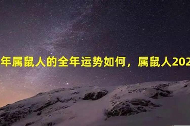 2022年属鼠人的全年运势运程