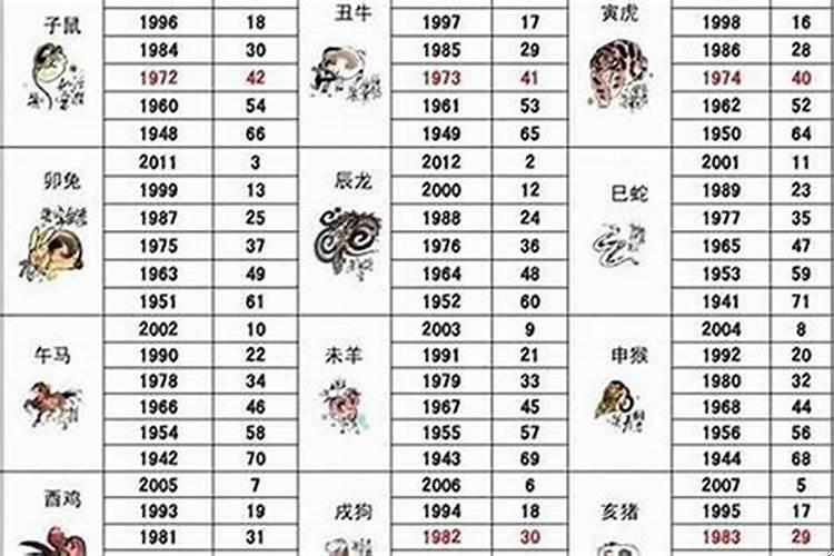 属兔大11岁属什么生肖