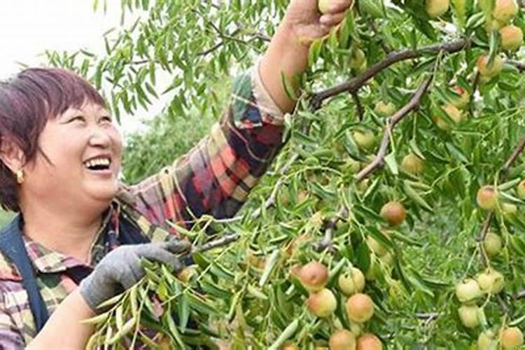 梦见死人放在棺材里，枱死人出去