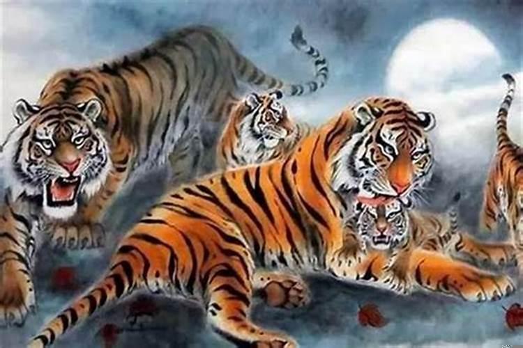 86年的虎36岁有难吗