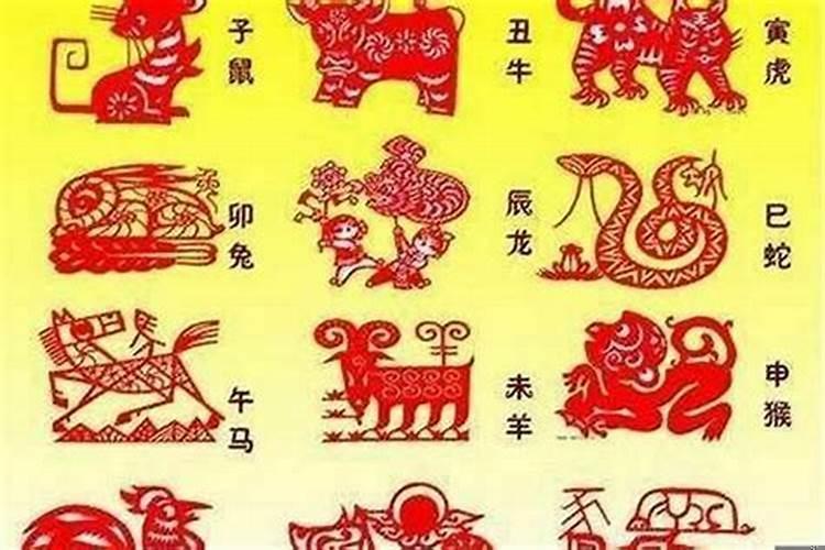 运势最好的属相是什么呢