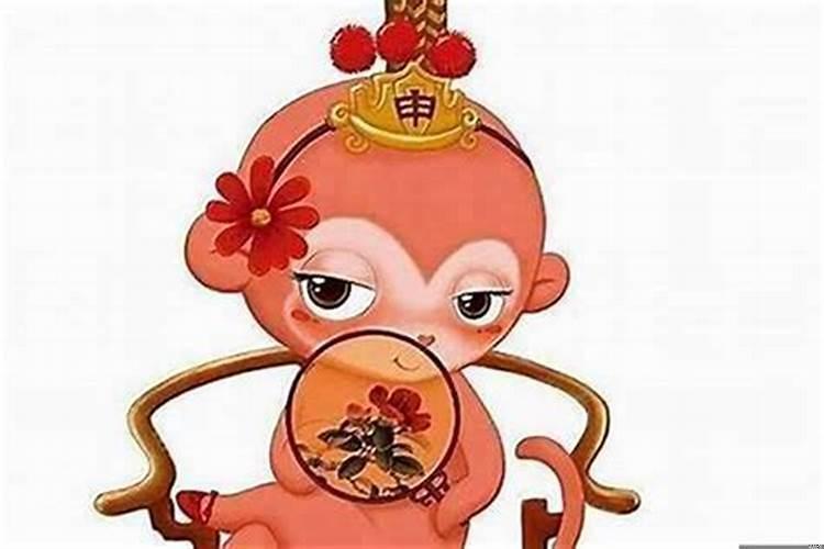 鼠和兔夫妻生个啥属相的宝宝好