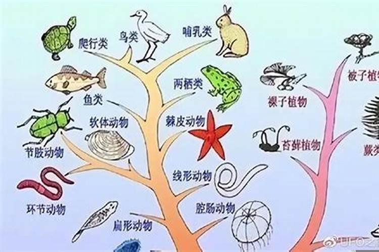 关系进化论